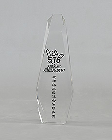 天貓年度最佳合作服務(wù)商